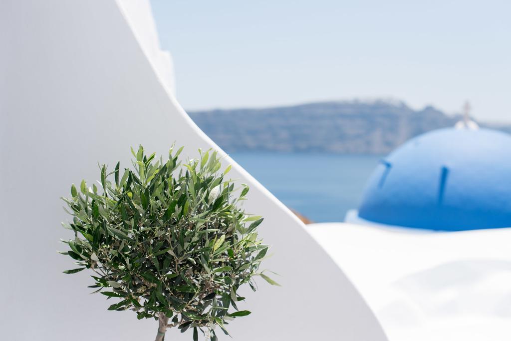 Evmenia Luxury Cave Villa イア エクステリア 写真